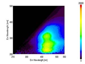 腐植物質の三次元励起蛍光スペクトル
