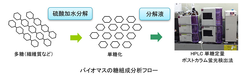 バイオマスの糖組成分析フロー_HPLC単糖定量ポストカラム蛍光検出法