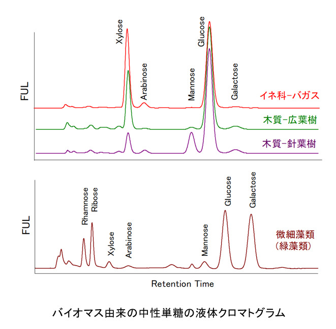 バイオマス由来の中性単糖の液体クロマトグラム