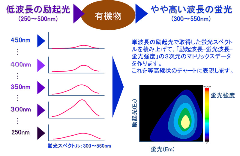 三次元蛍光スペクトル法(EEM)の等高線状のチャート図